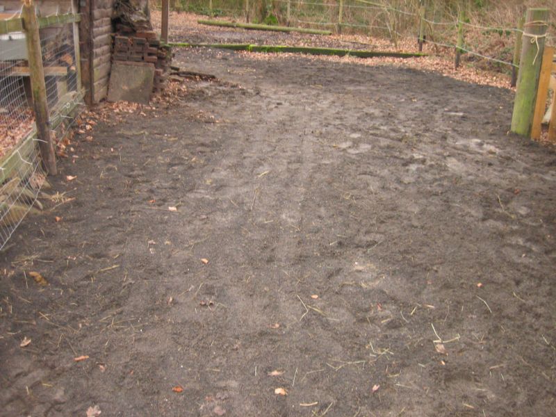 Paddockboden 005.jpg