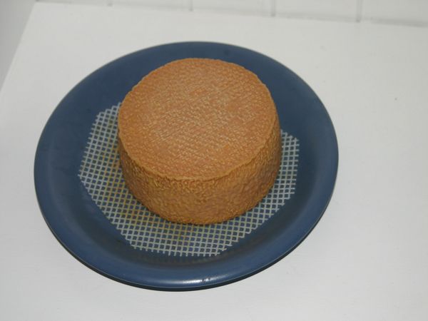 k-IMG_4086.jpg