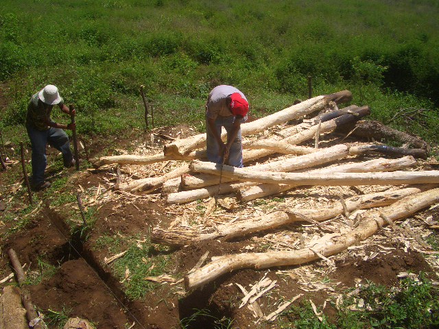 Bäume schälen mit Machete..........