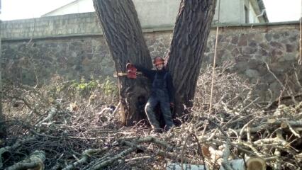 Stan. Baum Knast Torgau.