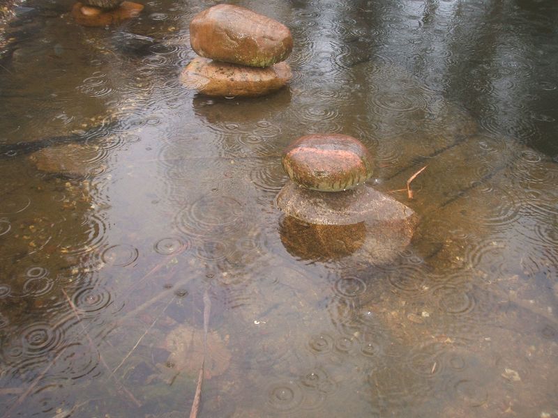 k-regen.jpg