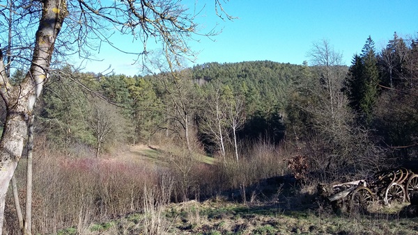 Blick von meinem Haus