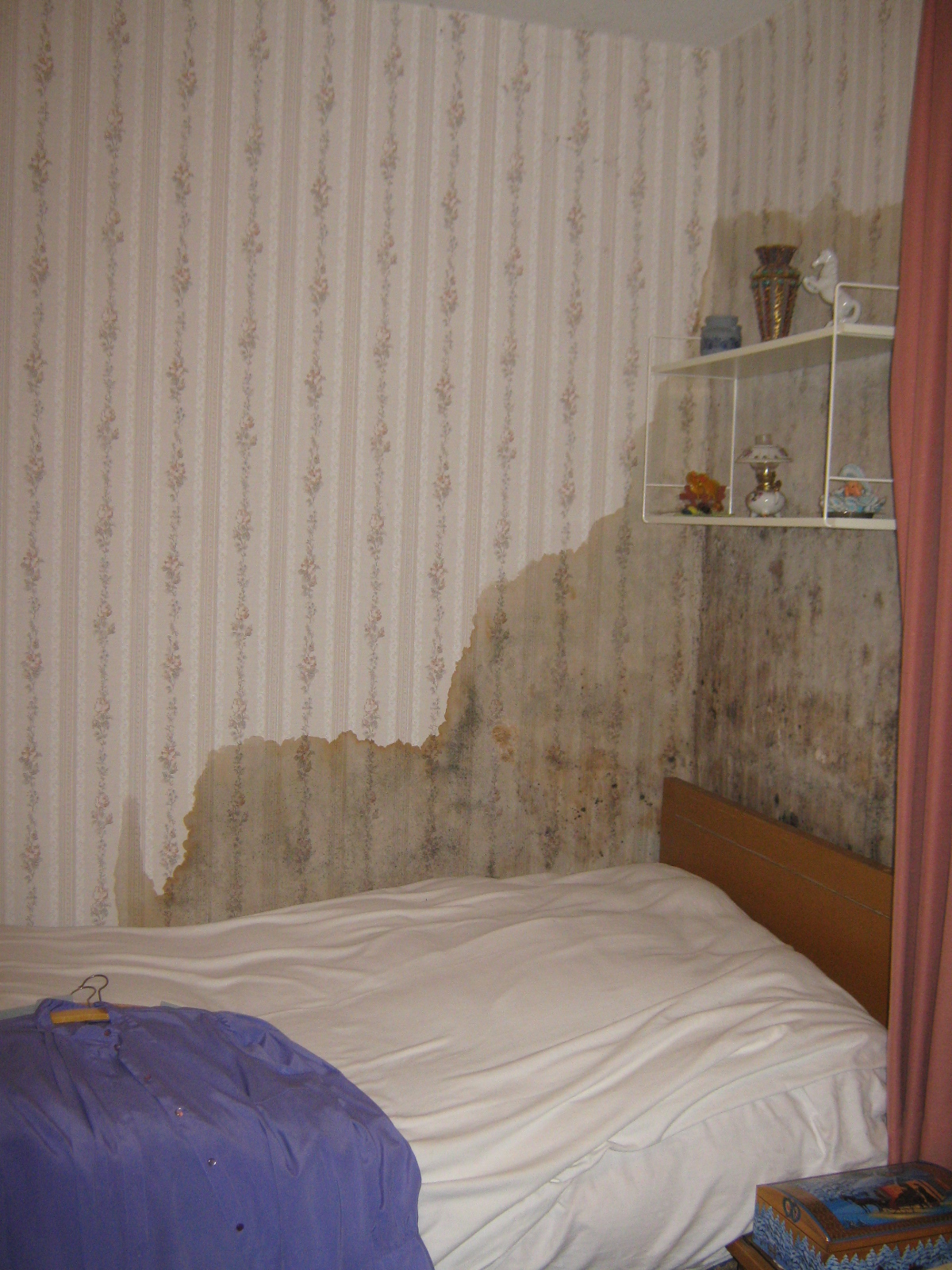 Nässe hat sich sogar über beide Innenwände ausgebreitet - hier links