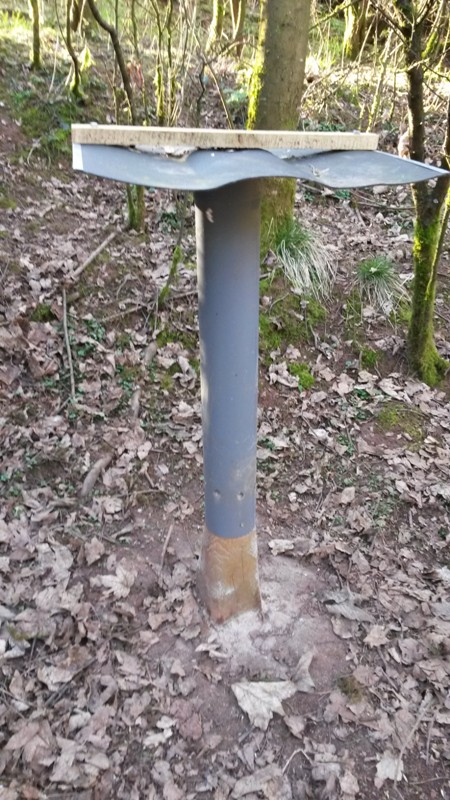 Fütterung.jpg