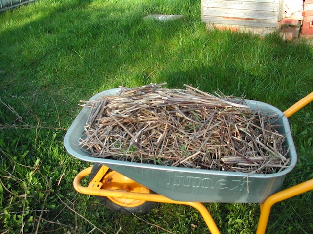 klein gebrochene Stängel