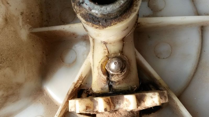 IMG-20160504-WA0008.jpeg