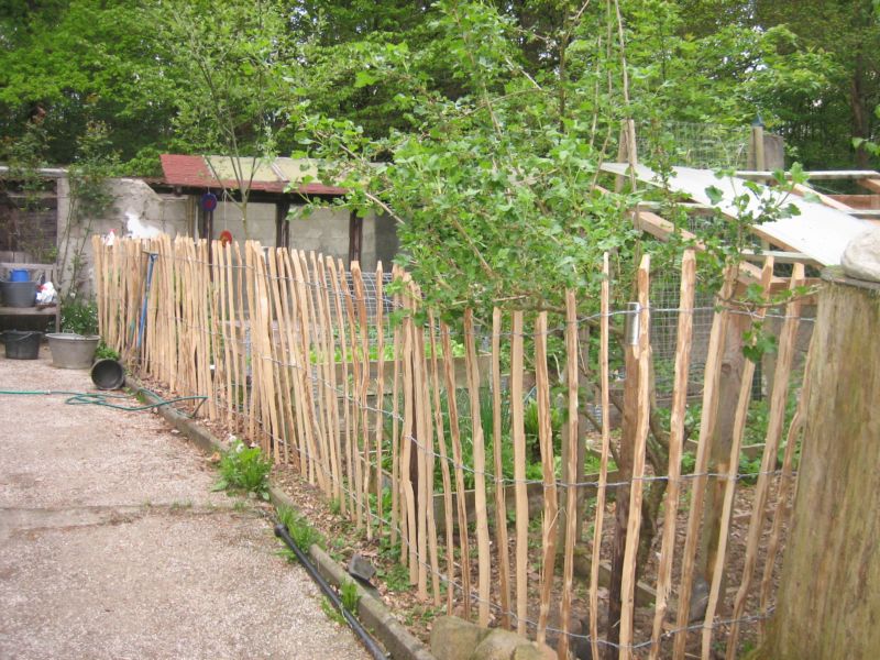 Pfingsten2016Garten 001.jpg