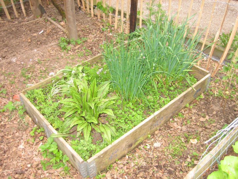 Pfingsten2016Garten 002.jpg