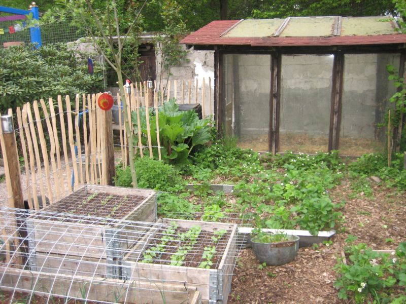 Pfingsten2016Garten 005.jpg