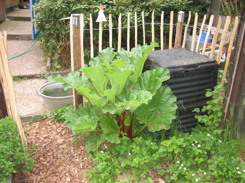 Pfingsten2016Garten 006.jpg