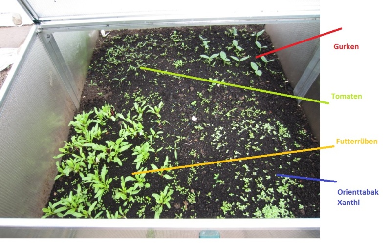 Gewächshaus_beschriftet.jpg