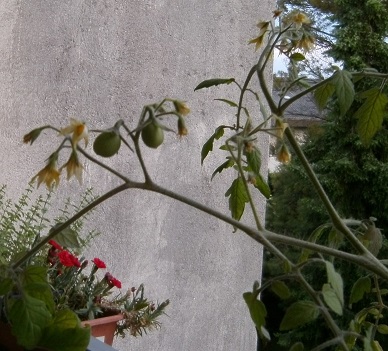 PICT0003.JPG