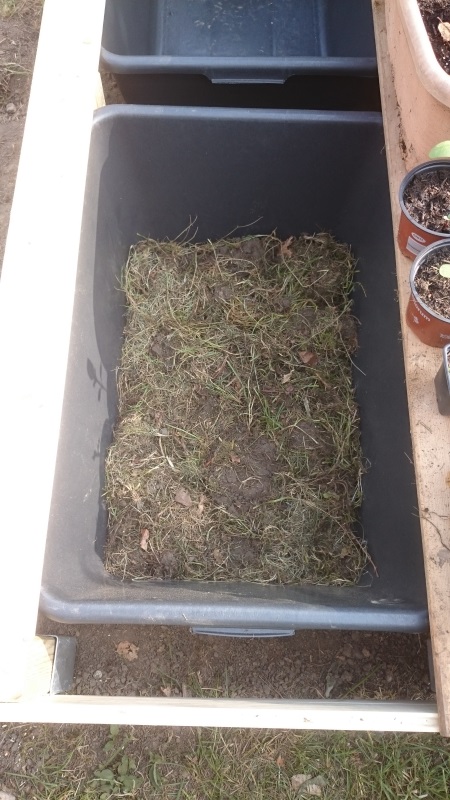 Grassoden am Boden.jpg