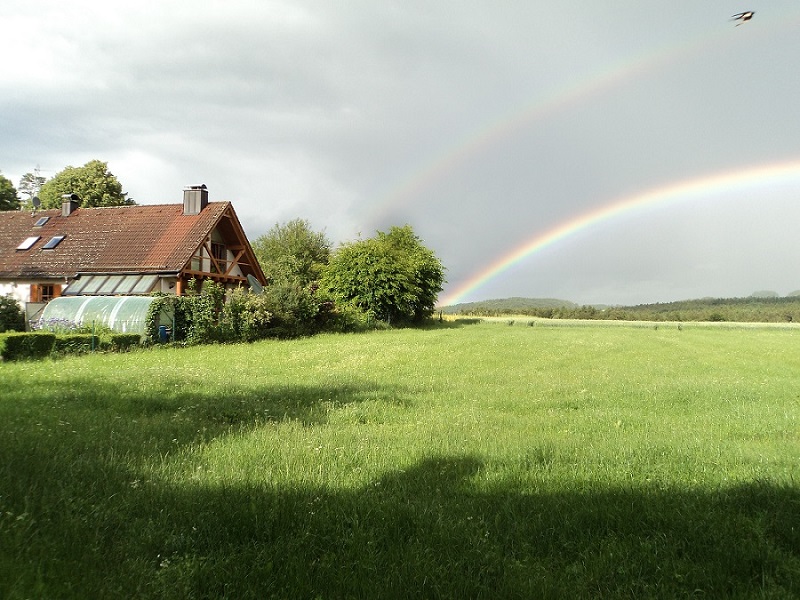 Regenbogen.jpg