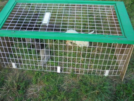 so siet das teil bestuekt aus