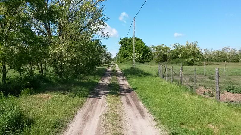 Der weg