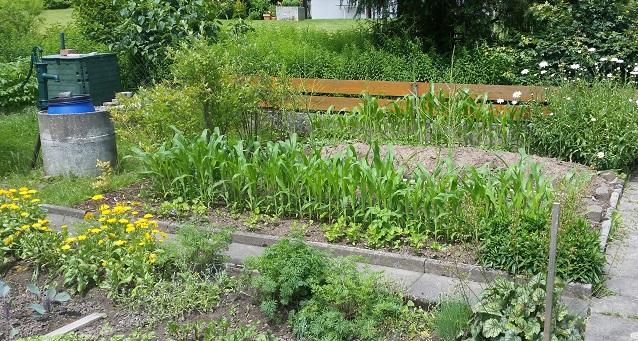 Spargel mit Mais.jpg