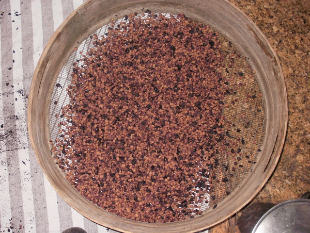 Mehr sollte von 20 kg Schlehen nicht übrig bleiben also 2 kg Steinchen.