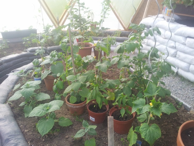 2016-05-18 19.11.04 (640x480).jpg