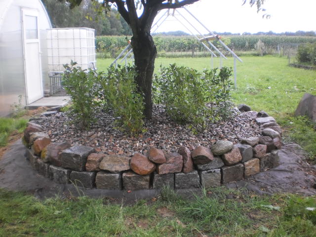 P8020002.JPG