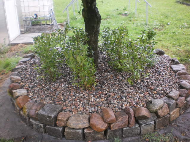 P8020003.JPG