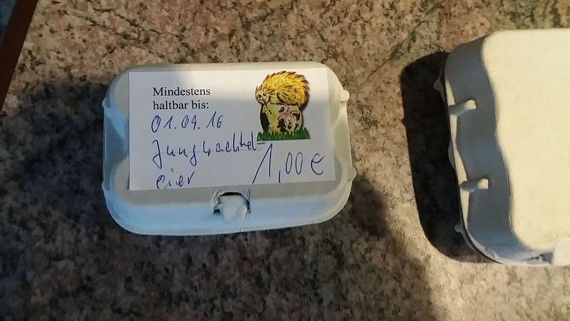 k-1kleineeier.jpg