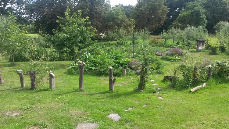kreisgarten.JPG