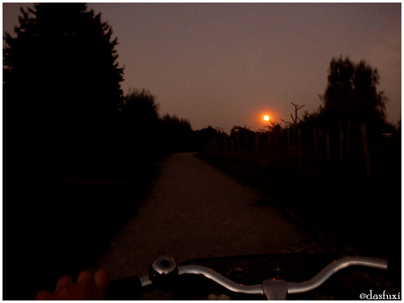 Red Moon Rising