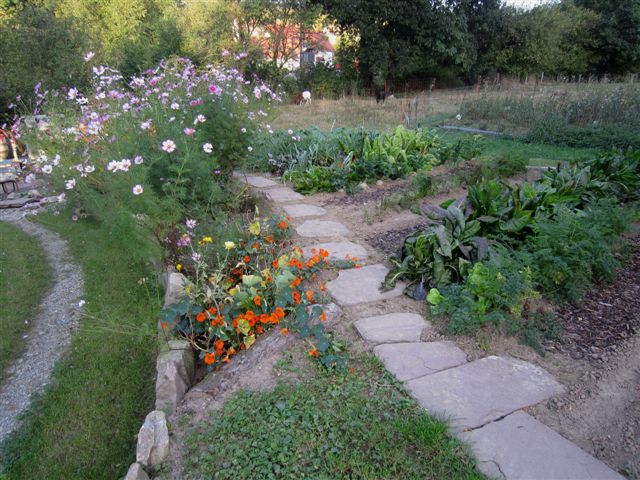 Gemüsegarten Ende September