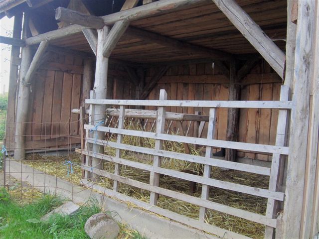 Schafstall Eigenbau
