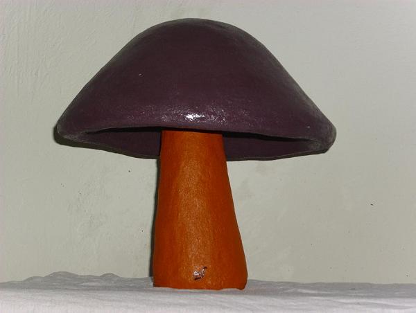 Pilz00.jpg