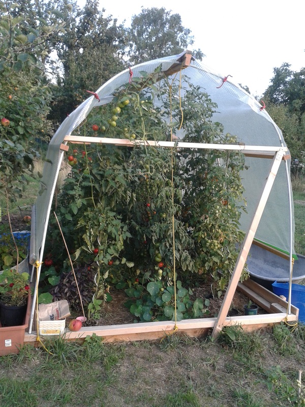 Tomatenhaus von vorne