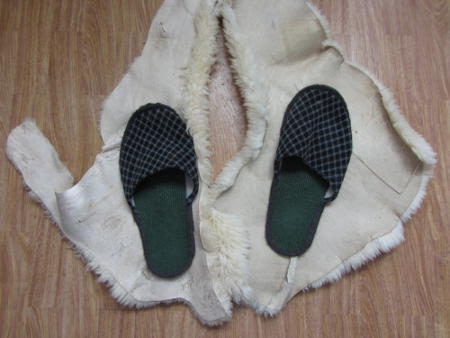 wollen_mal_Fellhausschuhe_werden.jpg