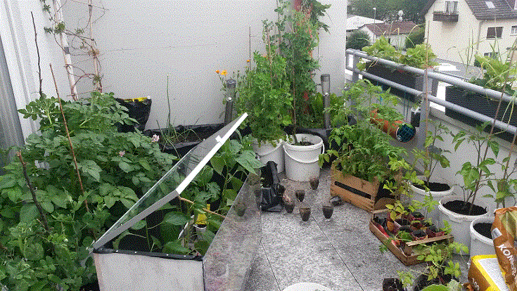 Dachterasse links.gif