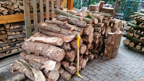 Holz 2016.jpg