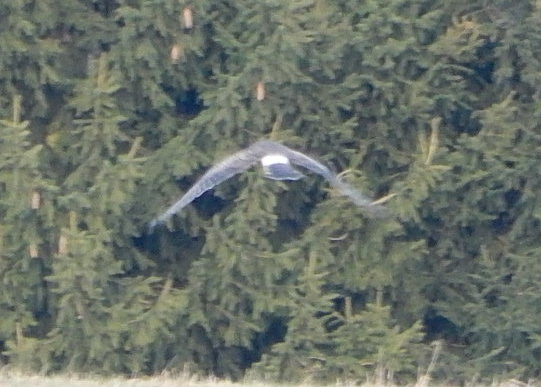 DSCN3065.jpg