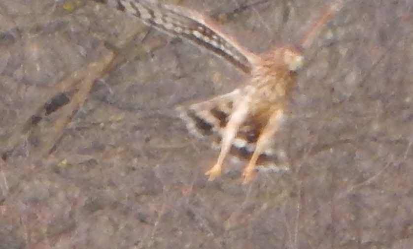 DSCN3072.jpg