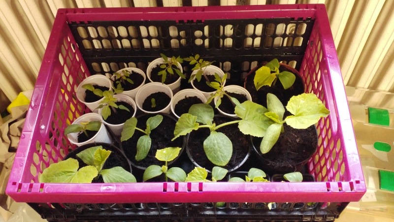 Vorgezogen und fertig zum Transport