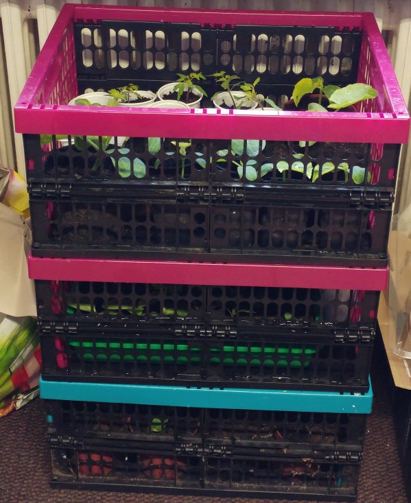 4_2017 vorgezogen2.jpg