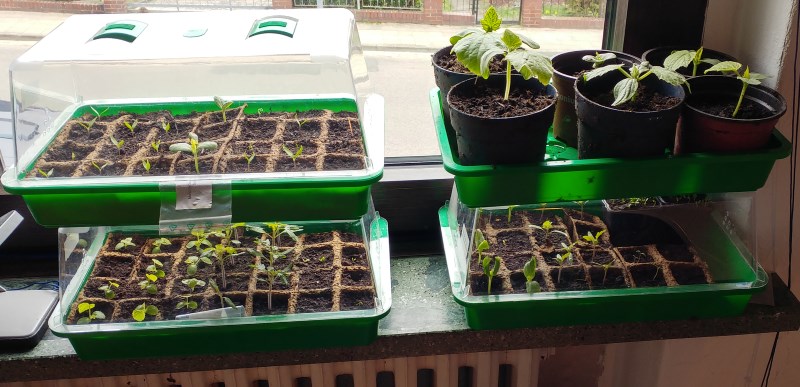 4_2017 vorgezogen4.jpg