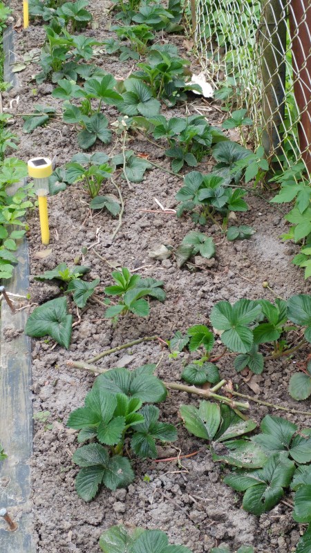 Beinahe vergessen ;-)