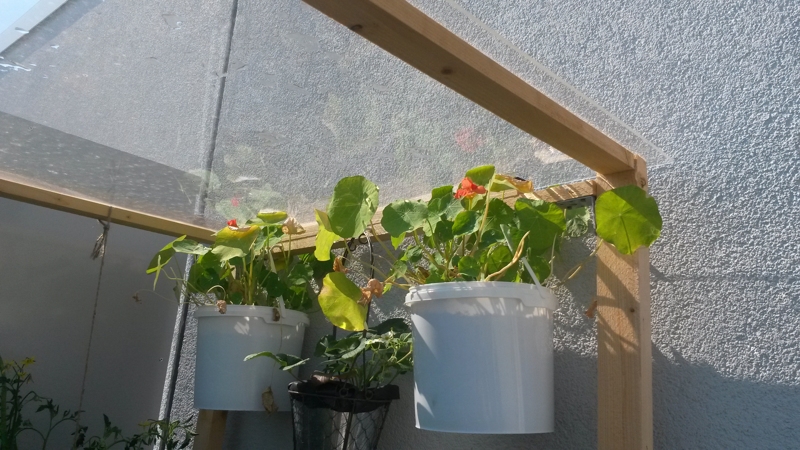 20160624_162516.jpg
