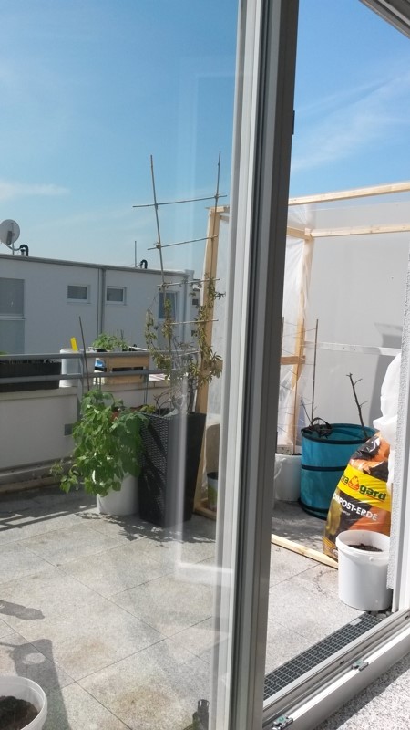 20160501_120148.jpg