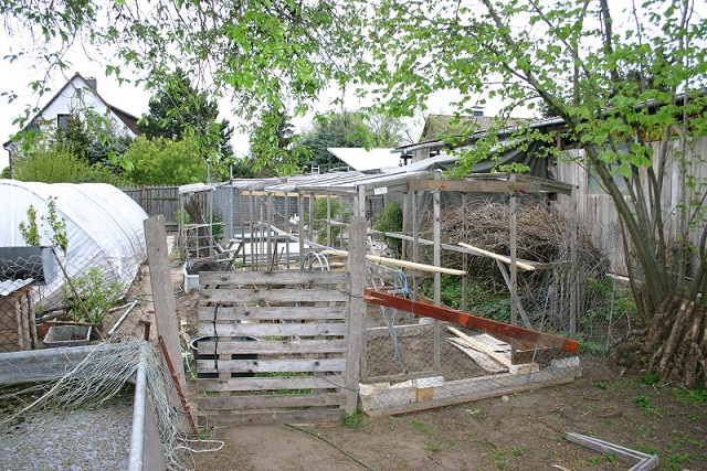 IMG_8998.jpg