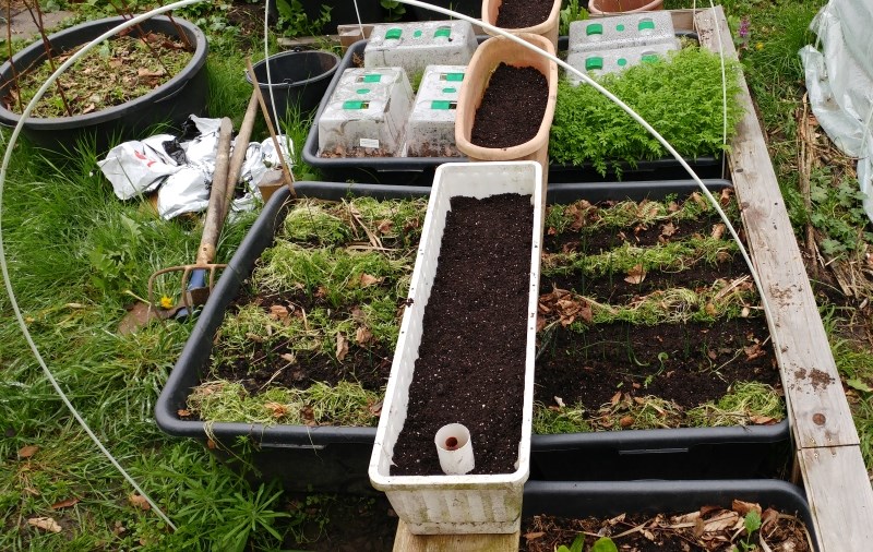 Alles Kübel oder was?