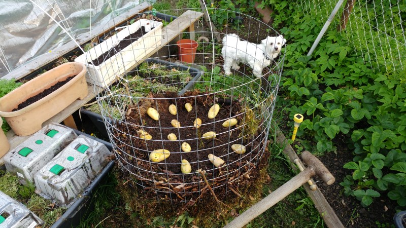 Bis hierhin hat's gereicht, der Kontrolleur ist skeptisch