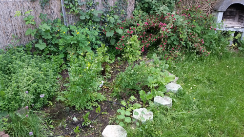 kräuterbeet.jpg