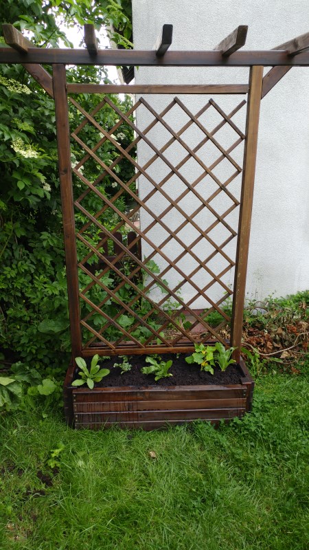 Blumenkuebel Rankgitter3.jpg