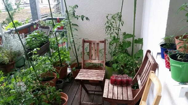 2017-07-02 07.03.48.jpg