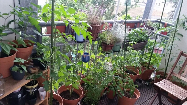 2017-07-02 07.03.22.jpg